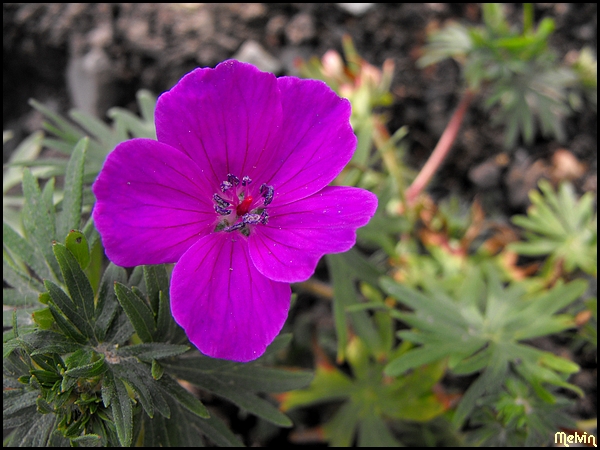 Image hébergée par Casimages.com : votre hébergeur d images simple et gratuit