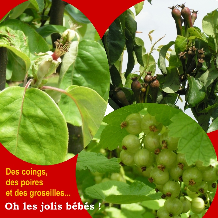 http://nsm01.casimages.com/img/2009/05/21/090521024235508193703314.jpg