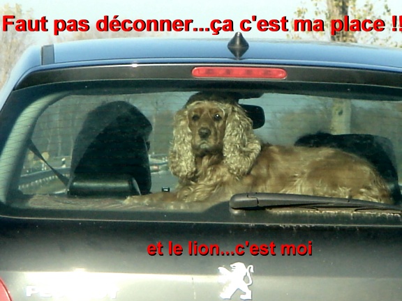 Image hébergée par Casimages.com : votre hébergeur d images simple et gratuit