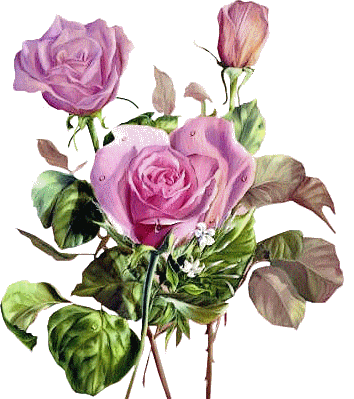 Image h�berg�e par Casimages.com : votre h�bergeur d images simple et gratuit