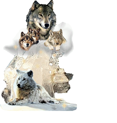 Image h�berg�e par Casimages.com : votre h�bergeur d images simple et gratuit