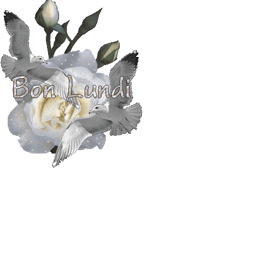 Image h�berg�e par Casimages.com : votre h�bergeur d images simple et gratuit