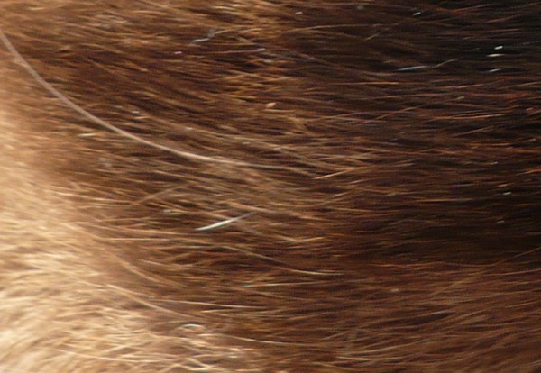Image hébergée par Casimages.com : votre hébergeur d images simple et gratuit