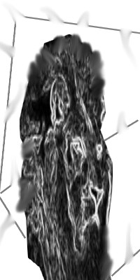 Image hébergée par Casimages.com : votre hébergeur d images simple et gratuit