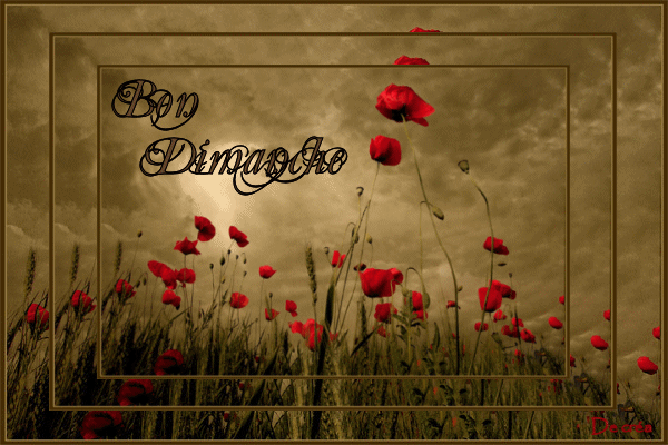 Image hébergée par Casimages.com : votre hébergeur d images simple et gratuit