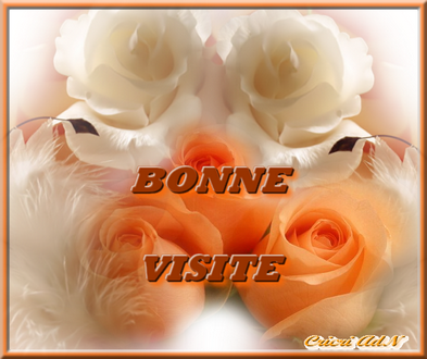 Image hébergée par Casimages.com : votre hébergeur d images simple et gratuit