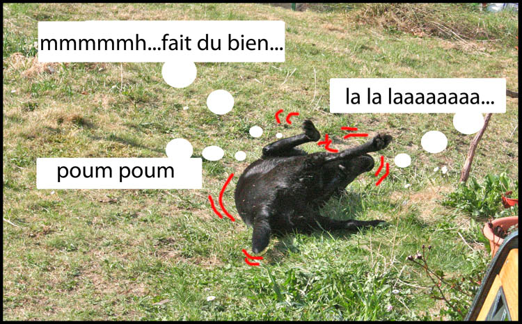Image h�berg�e par Casimages.com : votre h�bergeur d images simple et gratuit