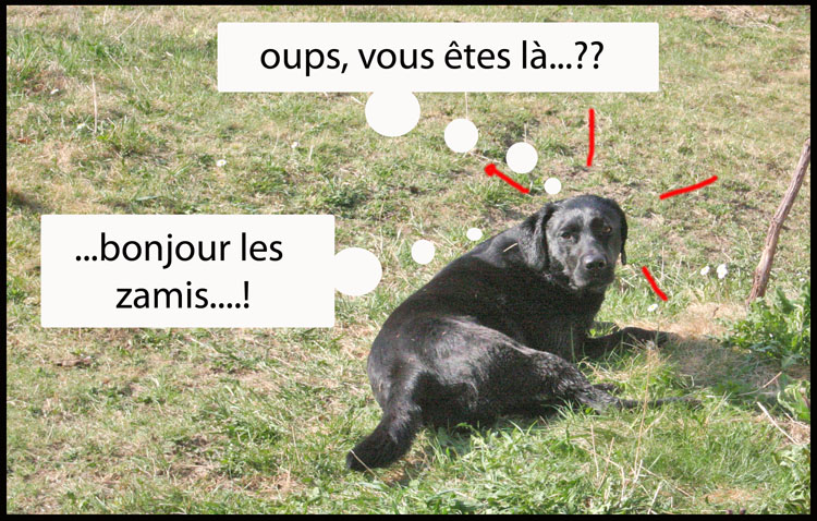 Image h�berg�e par Casimages.com : votre h�bergeur d images simple et gratuit