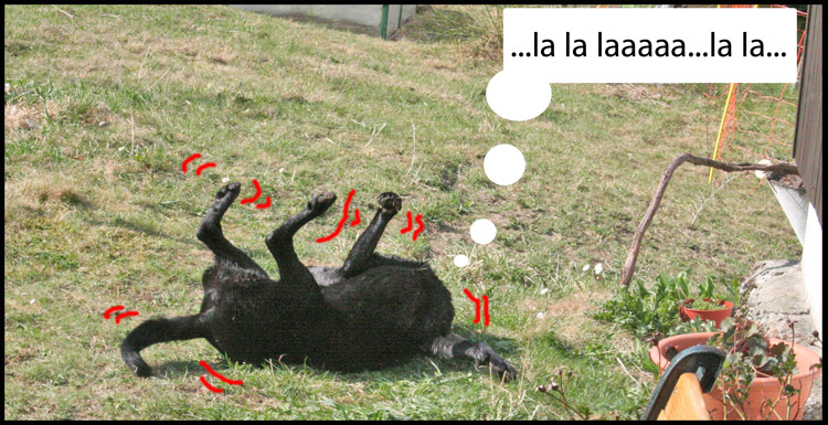 Image h�berg�e par Casimages.com : votre h�bergeur d images simple et gratuit