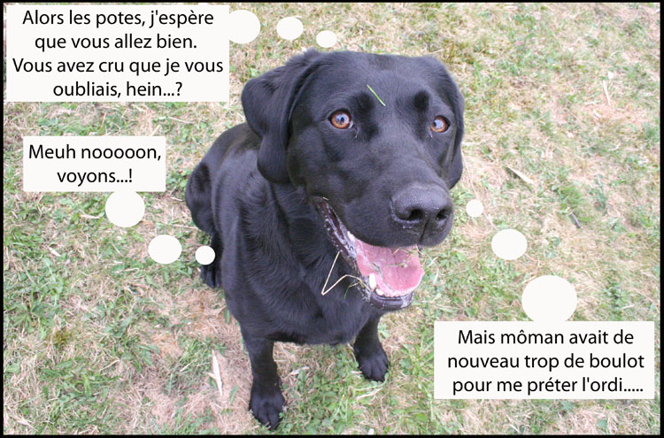 Image h�berg�e par Casimages.com : votre h�bergeur d images simple et gratuit