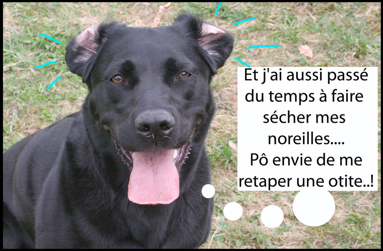 Image h�berg�e par Casimages.com : votre h�bergeur d images simple et gratuit
