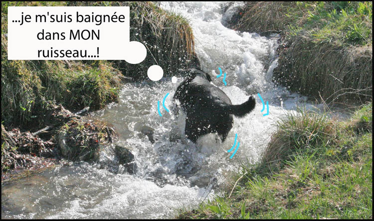 Image h�berg�e par Casimages.com : votre h�bergeur d images simple et gratuit