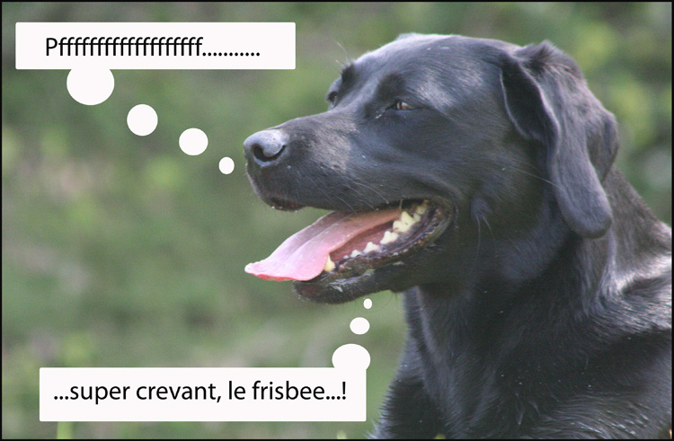 Image h�berg�e par Casimages.com : votre h�bergeur d images simple et gratuit