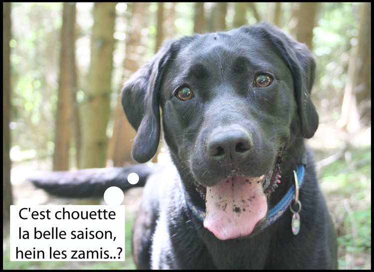 Image h�berg�e par Casimages.com : votre h�bergeur d images simple et gratuit