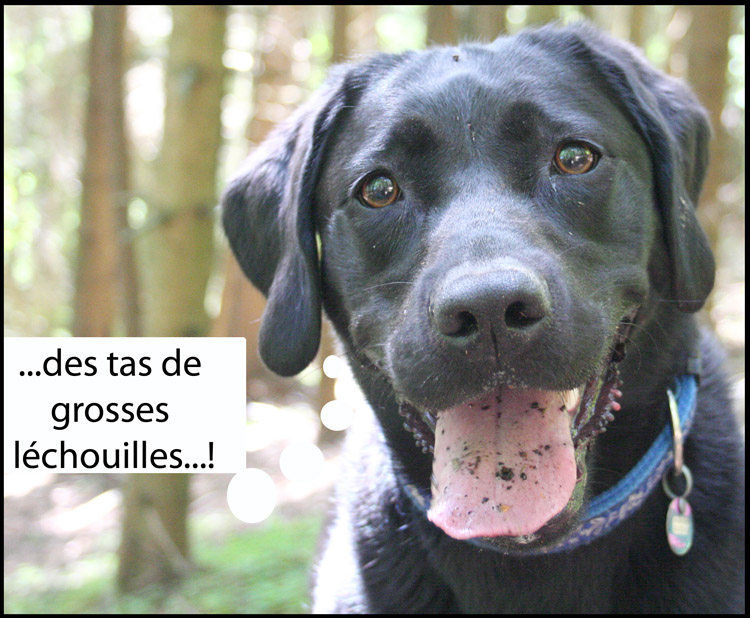 Image h�berg�e par Casimages.com : votre h�bergeur d images simple et gratuit
