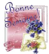 Bonne