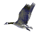 Image h�berg�e par Casimages.com : votre h�bergeur d images simple et gratuit
