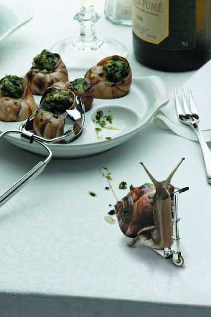 l-escargot-chicciola