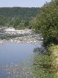 rivi