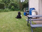 Hebergement gratuit d image et photo
