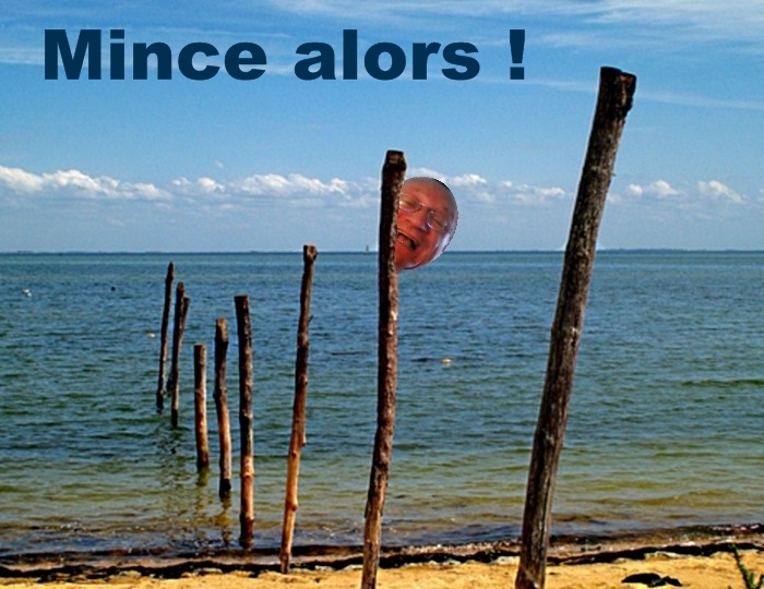 http://nsm01.casimages.com/img/2009/05/25/090525073329508193727838.jpg