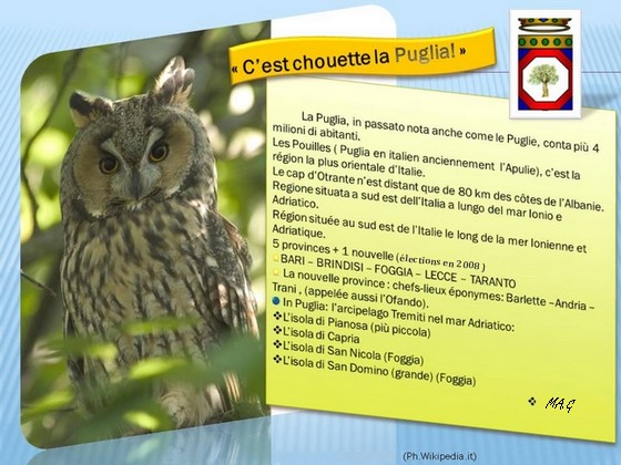 Image hébergée par Casimages.com:intro-puglia
