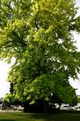 viree09 PCsavoie