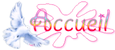 Accueil