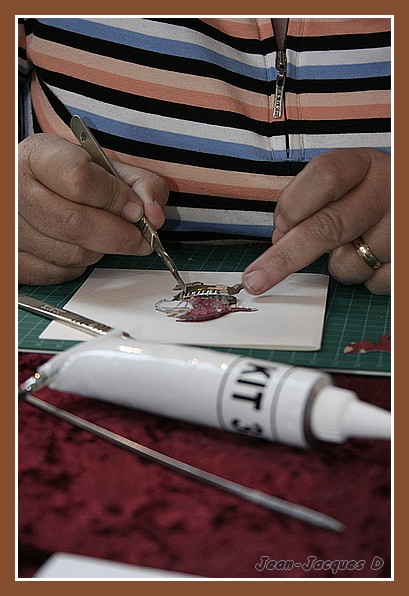 Image hébergée par Casimages.com : votre hébergeur d images simple et gratuit