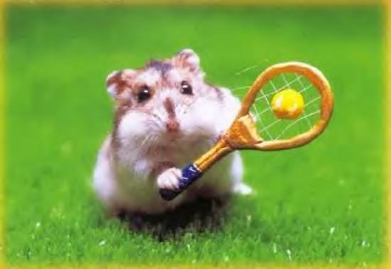 Image hébergée par Casimages.com : votre hébergeur d images simple et gratuit