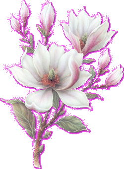 Image hébergée par Casimages.com : votre hébergeur d images simple et gratuit