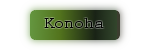 Admin et Juunin de Konoha