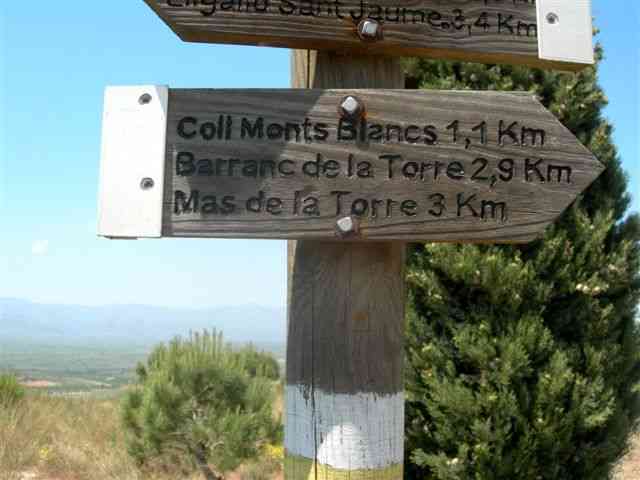 Coll Monts Blancs - ES-T- 0323 mètres (Panneau directionnel)