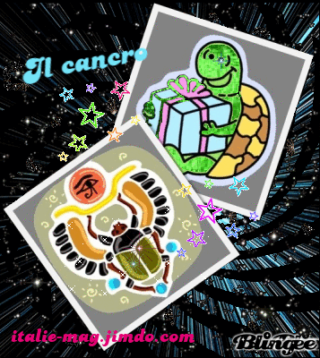 Image hébergée par Casimages.com:tortue-scarabee