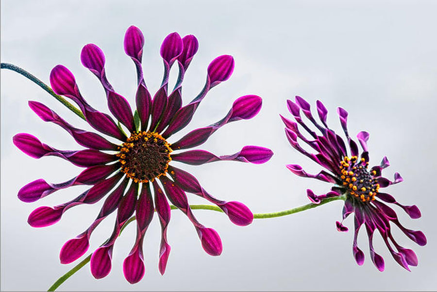 Wallpaper Gallery - Masa stnz Ssleyecek Resimler (3. Katalog)