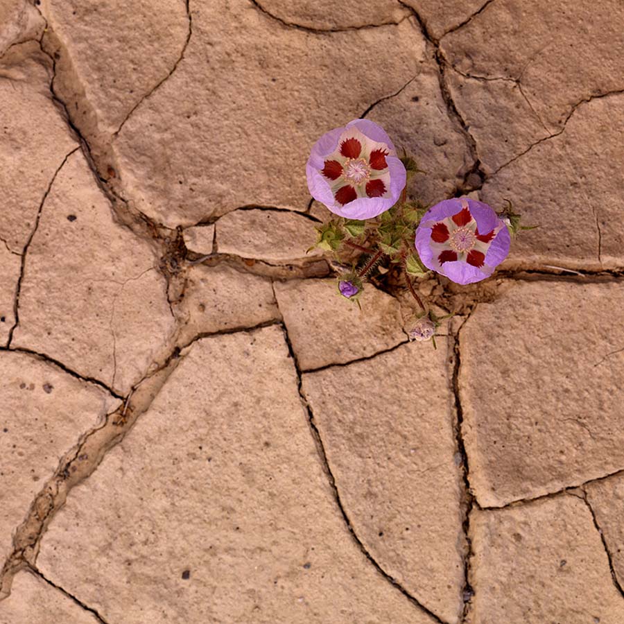 Wallpaper Gallery - Masa stnz Ssleyecek Resimler (3. Katalog)