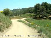 Agrandir l'image Coll de Can Bori - ES-B-0130