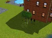 sims3_15.jpg