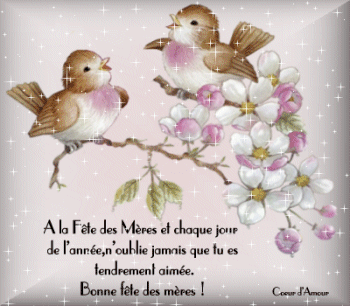 Image hébergée par Casimages.com : votre hébergeur d images simple et gratuit