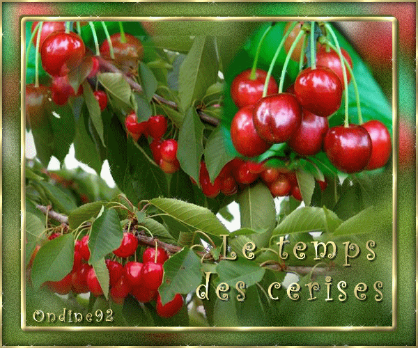 Image hébergée par Casimages.com : votre hébergeur d images simple et gratuit