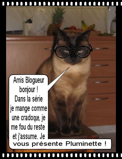 Image hébergée par Casimages.com : votre hébergeur d images simple et gratuit