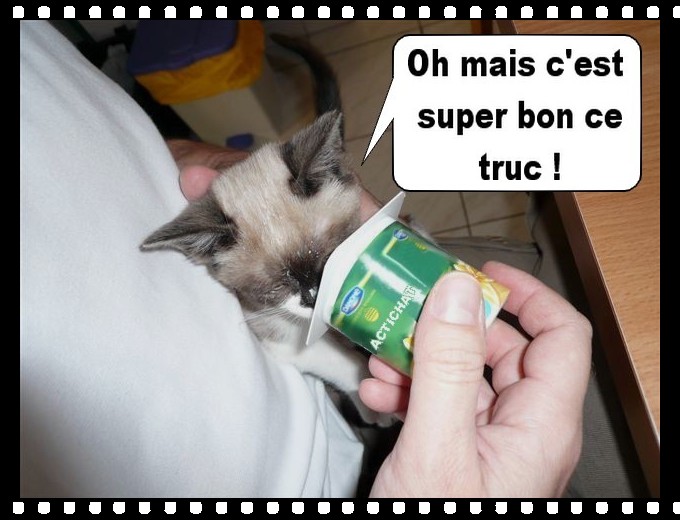 Image hébergée par Casimages.com : votre hébergeur d images simple et gratuit