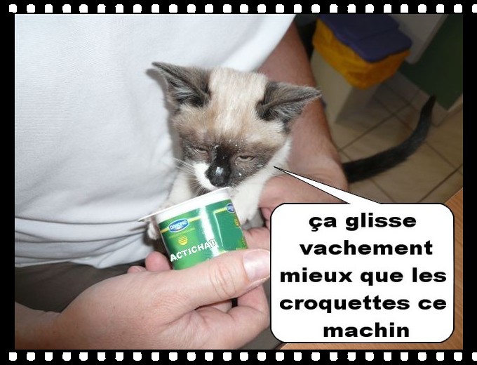 Image hébergée par Casimages.com : votre hébergeur d images simple et gratuit
