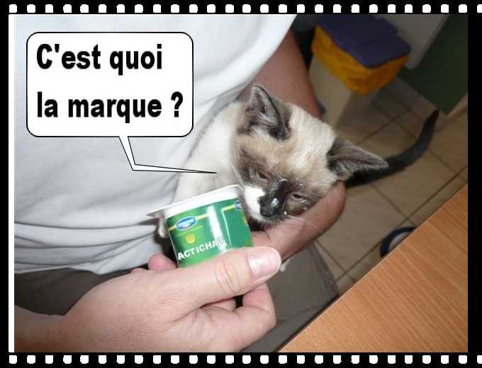 Image hébergée par Casimages.com : votre hébergeur d images simple et gratuit