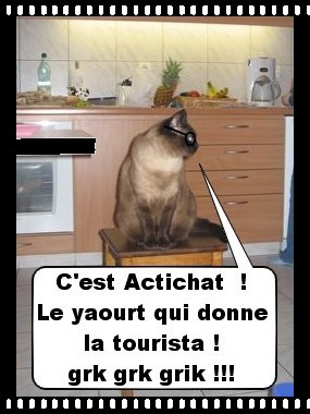 Image hébergée par Casimages.com : votre hébergeur d images simple et gratuit