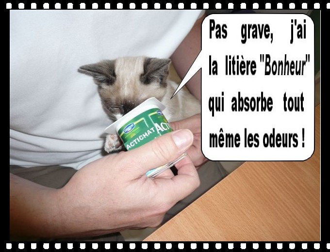 Image hébergée par Casimages.com : votre hébergeur d images simple et gratuit