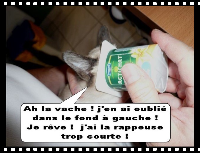 Image hébergée par Casimages.com : votre hébergeur d images simple et gratuit