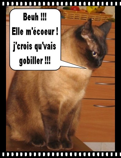Image hébergée par Casimages.com : votre hébergeur d images simple et gratuit