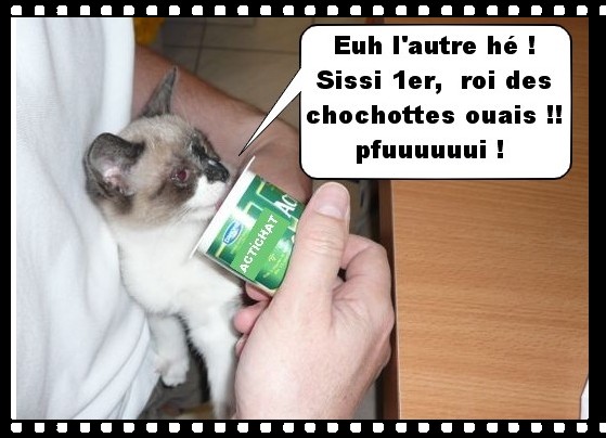 Image hébergée par Casimages.com : votre hébergeur d images simple et gratuit