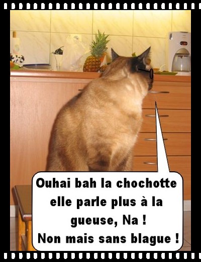 Image hébergée par Casimages.com : votre hébergeur d images simple et gratuit